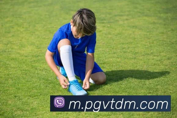 App Interface Preview