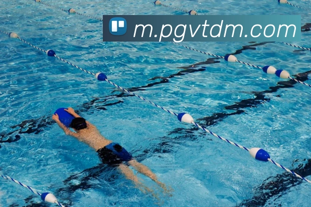 nba投注网站APP 封面图